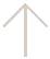 Scroll to Top